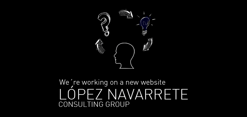 López Navarrete Consulting Group